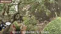 大话西游 可疑的布金寺长老 186