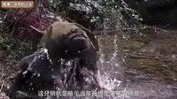 大话西游 火焰山的围城之战 135