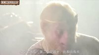 大话西游 西游记里最弱智的妖怪 147