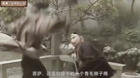 大话西游 狮驼岭背后的佛教内战 160