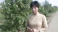 民间小调电视连续剧《刘晓燕治恶婆子》标清