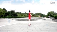 麒麟广场舞2016《 浪迹天涯》DJ