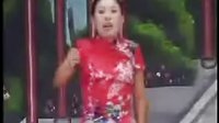 河南坠子《大明奇冤》12