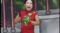 河南坠子《大明奇冤》15