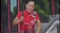 河南坠子《大明奇冤》17