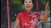 河南坠子《大明奇冤》18