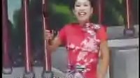 河南坠子《大明奇冤》11