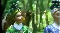 杨丽花歌仔戏《杨家将》 01