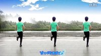 2016最新广场舞《你并不在意我爱你》含背面