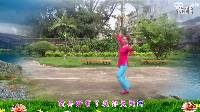 廖弟广场舞《花雨夜》正背面演示与教学分解