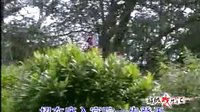 湖南花鼓戏《皇帝斩驸马》1