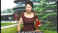 温州鼓词《雌雄玉蝴蝶》05
