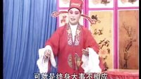 琴书《奇巧案》1