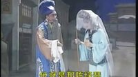 湖南花鼓戏《麻风女传奇》2