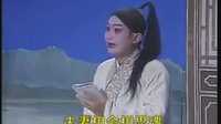 湖南花鼓戏《麻风女传奇》3
