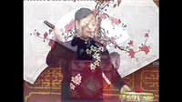 长篇河南坠子 一百零八侠04