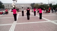 中老年广场舞十六步