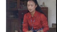 柳琴戏《城市里的乡下人》第一集