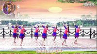 爱吾广场舞《独爱一枝花》正面演示