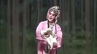 评剧《杜十娘》选段“身世多飘零”王冠丽主