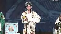 评剧《刘兰芝》选段 刘兰芝心酸痛 王冠丽演