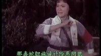 现代京剧《杜鹃山》选段 乱云飞 杨春霞演唱