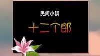 cjj民间小调-安徽民间小调《十二个郎》