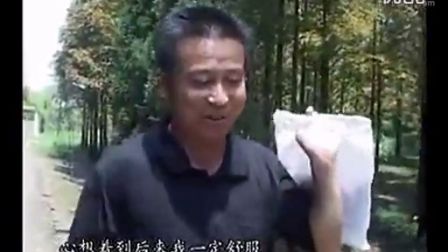民间小调 《二百五摸小婶》下集