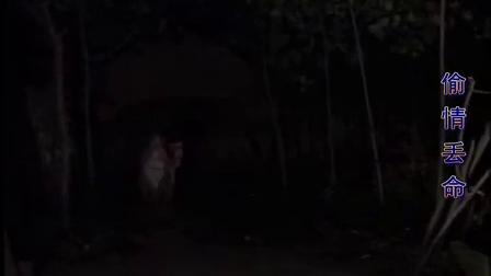 民间小调《偷情丢命》全集