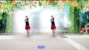广场舞《傲包情》