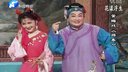 黄梅戏折子戏《游春》《葬花》