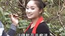 最新云南山歌剧《色狼金钱与美女》第一集