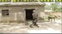 民间小调《看孙子吃奶》全集
