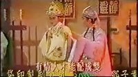 黄梅戏《十八相送》下载