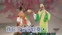 广东 粤剧选段《游园惊梦》