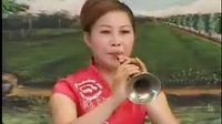 经典戏曲唢呐 《唢呐声声》