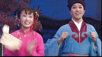 黄梅戏《夫妻观灯》