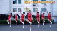 中老年第九套快乐舞步健身操 高清下载