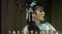李如麟歌仔戏《断情剑》冬梅我只想永远来跟随你下载
