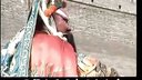 秦腔大全