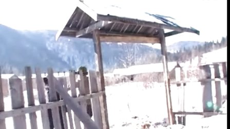 二人转短剧《不孝的儿媳》黄五 付晓风 张喜