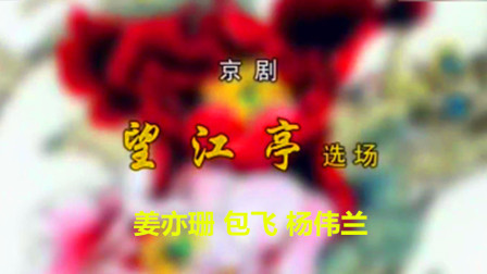 张派京剧折子戏专场《望江亭》选场下载