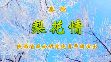 秦腔《梨花情》完整版在线观看下载