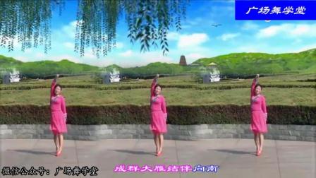 绍兴玲玲广场舞《风中的额吉》