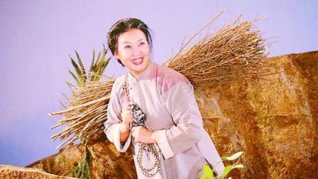 蒲剧《山乡辣嫂》景雪变吉春红