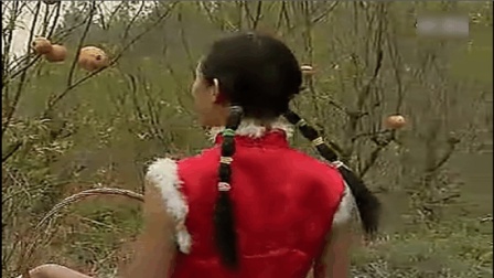 沂蒙小调《摘石榴》小女摘石榴盼情郎 小伙