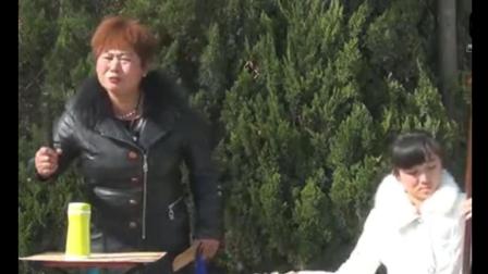 河南坠子《刘成劝妻》高清