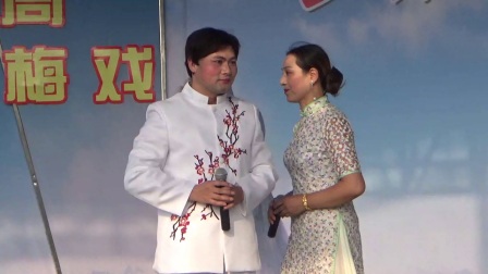杨善永等《黄梅戏精曲》高清大全