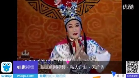 潮剧选段《岳云》