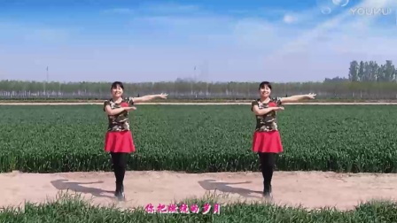 美久广场舞广场舞鬼步舞《女人没有错》下载